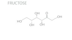 Fructose